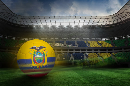 厄瓜多尔足球与巴西球迷的足球场