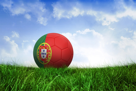 葡萄牙足球在蓝天下的草地上