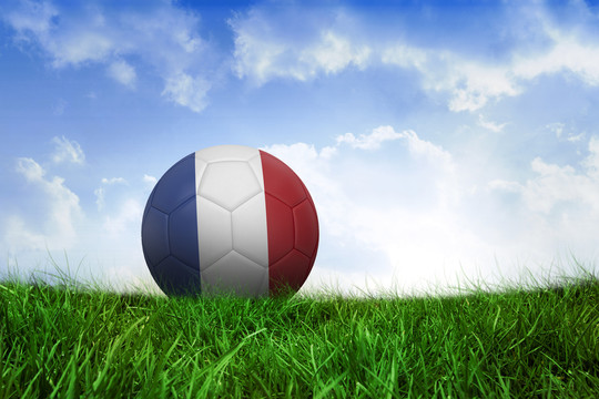法国足球在草地上