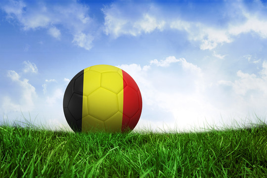 德国足球在蓝天下的草地上
