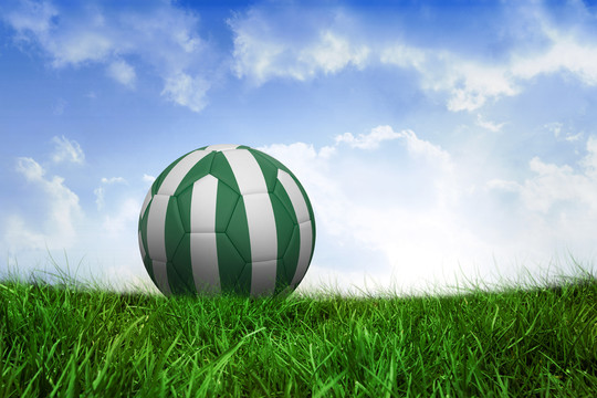 尼日利亚的足球在蓝天下的草地上