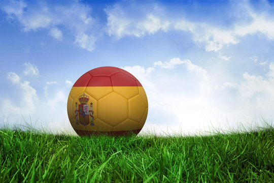 西班牙足球在蓝天下的草地上
