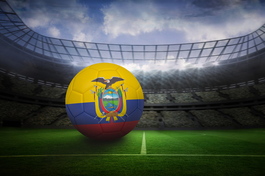 厄瓜多尔足球在大型足球场上