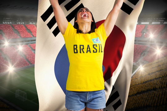 巴西球迷悬挂韩国国旗