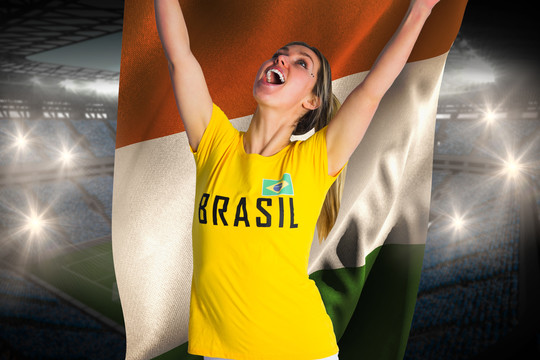 巴西球迷举着象牙海岸的旗帜