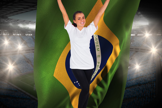 球迷举着巴西国旗欢呼着