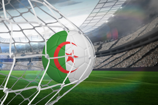 阿尔及利亚足球在网后