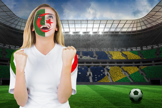 伊朗球迷脸上的油漆