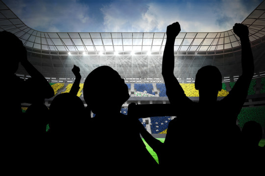 巴西球迷对大型足球场的球迷
