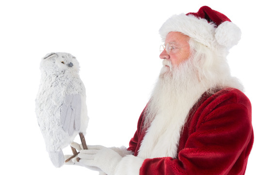 圣诞老人抱着一只白底猫头鹰