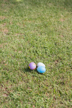 花园外草地上的复活节彩蛋