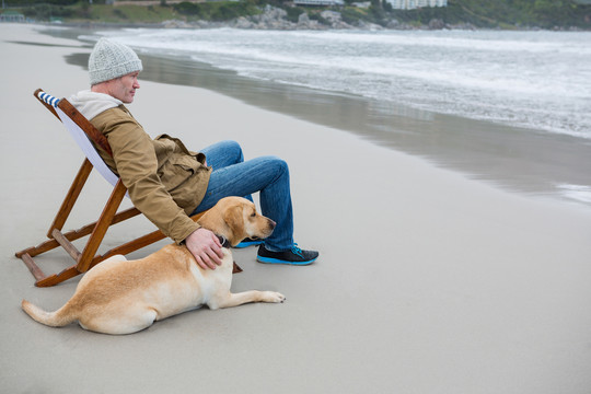 男人坐在海滩上娇养狗
