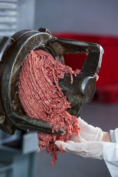 肉类工厂肉类加工机