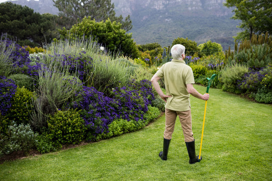 草坪上拿着园艺工具的老年人