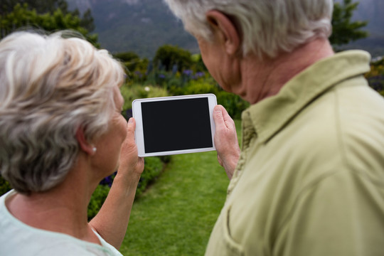 草坪上使用平板电脑的老年夫妇
