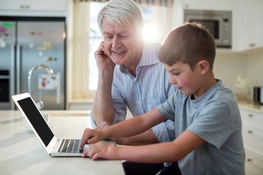 孙子和爷爷在家里用笔记本电脑