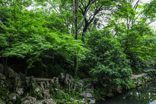 苏州园林景观