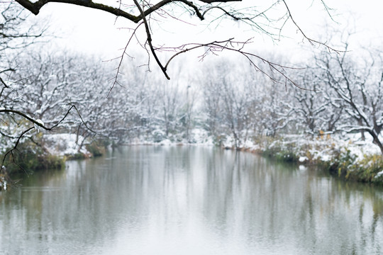 西溪雪景