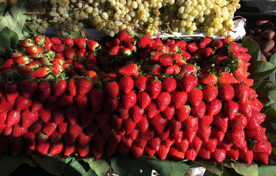 集市的草莓