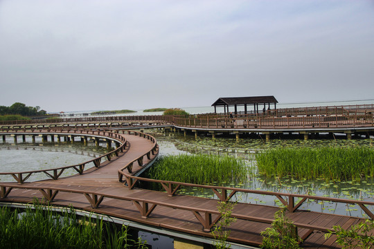 太湖湿地廊桥