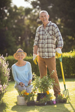快乐老年夫妇在后院一起园艺