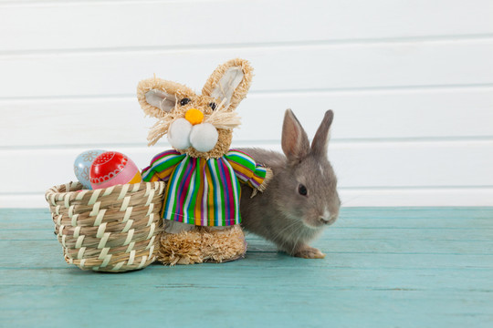 彩蛋和复活节兔子坐在柳条篮里