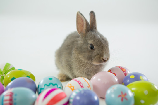 彩绘复活节彩蛋和兔子