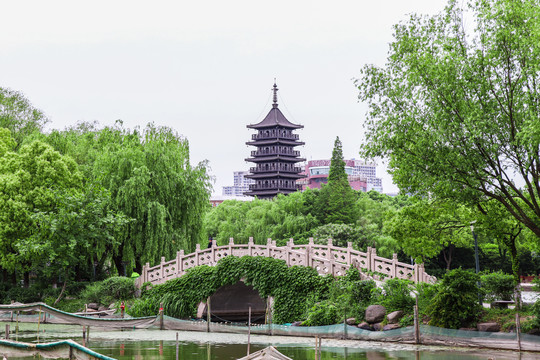 南湖风光风景