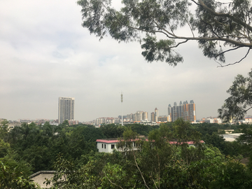 广州景观