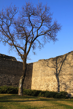 北京明城墙遗址