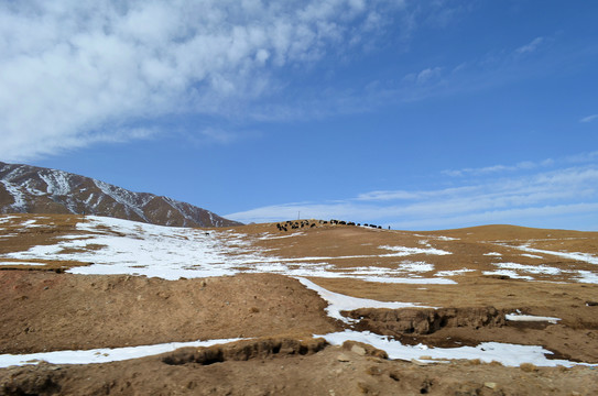 贡嘎雪山