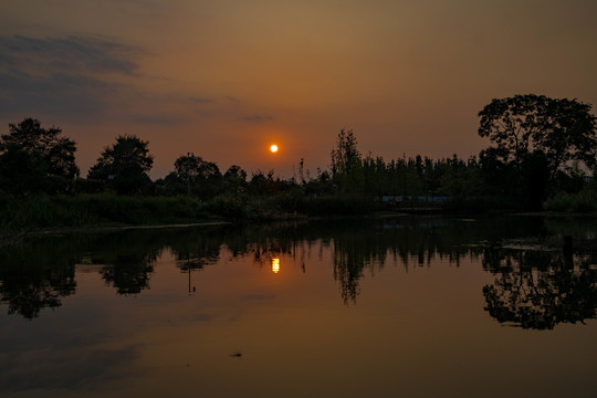 夕阳醉了