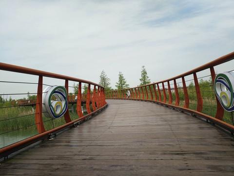 太湖湿地廊桥