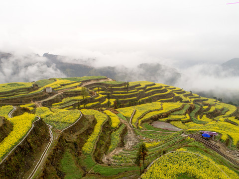 航拍小舟山