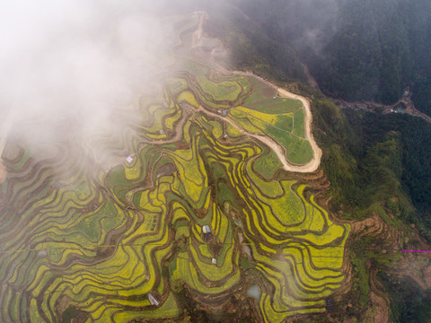 航拍小舟山