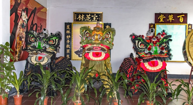 狮头