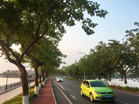 肇庆星湖西路堤岸