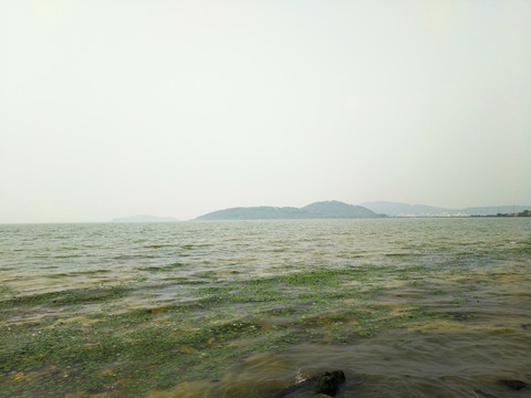 湖心岛风景