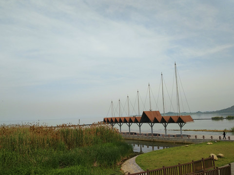江滩湿地码头风景