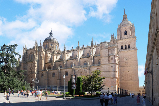 萨拉曼卡新旧大教堂（西班牙）