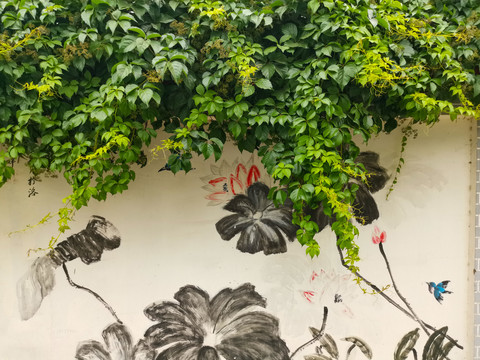 爬满植物的墙壁