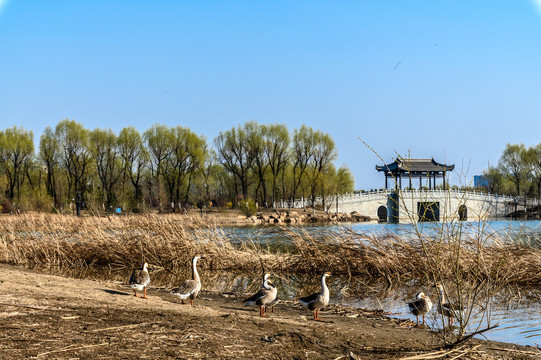 长春北湖国家湿地公园