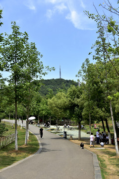合肥大蜀山