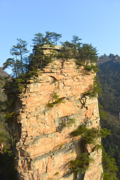 张家界天子山索道周边群峰风光