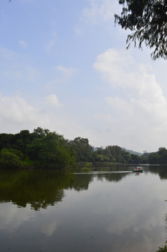 麓湖公园景观