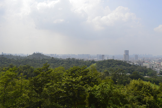 广州越秀区绿化景观