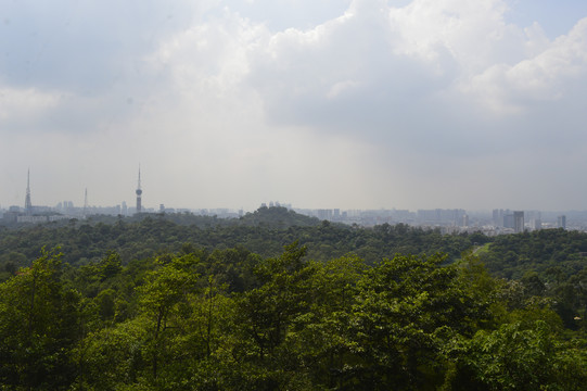 俯瞰广州绿化景观