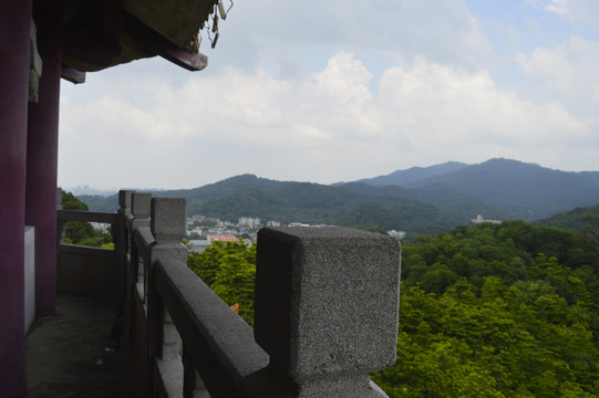 鸿浩楼登临远眺广州城