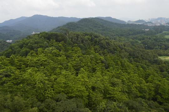 登临远眺广州山峰绿化