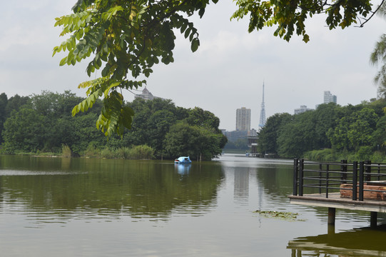 广州麓湖公园湖景